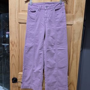 American Eagle Outfitters Purple Wide Leg Jeans